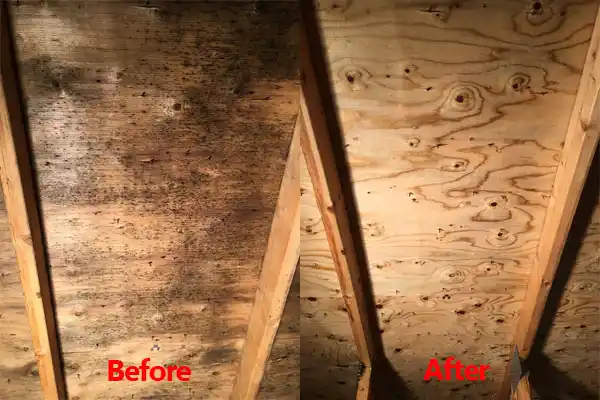 water damage restoration service Fairmont